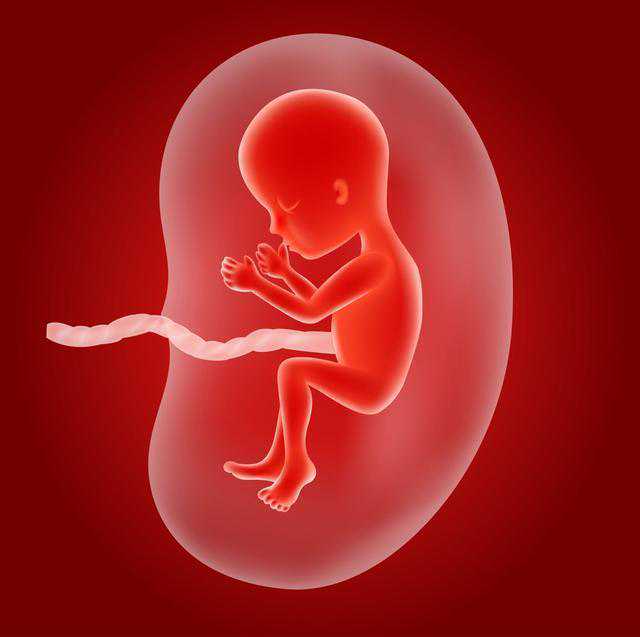 美国洛杉矶代孕,泰国试管婴儿冻胚适用人群有哪些
